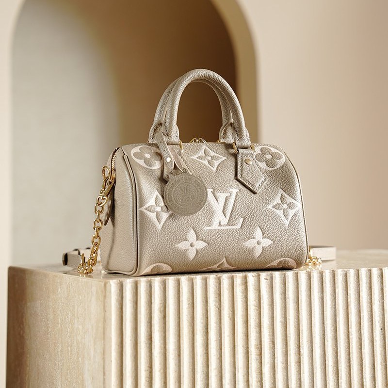 LV Speedy 20 大象灰 M46575